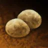 馬鈴薯