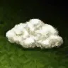 羊毛