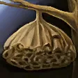 蜜蜂窩